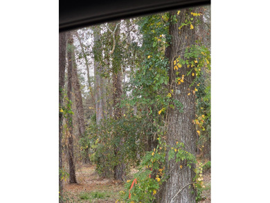 welcome to the beautiful and gated Santee Cooper Resort! Just on Santee-Cooper Country Club in South Carolina - for sale on GolfHomes.com, golf home, golf lot