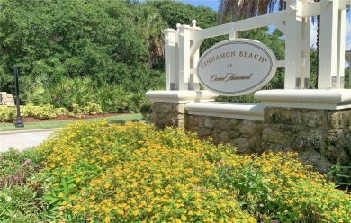 Wow! This Cinnamon Beach homesite is located in the private on The Ocean Course At Hammock Beach Resort in Florida - for sale on GolfHomes.com, golf home, golf lot