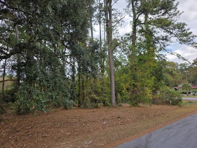 Welcome to the beautiful and gated Santee Cooper Resort! Just on Santee-Cooper Country Club in South Carolina - for sale on GolfHomes.com, golf home, golf lot