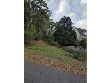 Welcome to the beautiful and gated Santee Cooper Resort! Just on Santee-Cooper Country Club in South Carolina - for sale on GolfHomes.com, golf home, golf lot