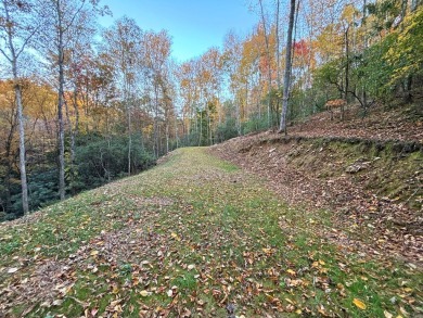 [Lot 15-3 Hills Creek Rd, Mineral Bluff, GA]  Imagine having 2 on Old Toccoa Farm Golf Club in Georgia - for sale on GolfHomes.com, golf home, golf lot