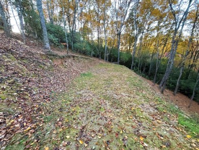 [Lot 15-3 Hills Creek Rd, Mineral Bluff, GA]  Imagine having 2 on Old Toccoa Farm Golf Club in Georgia - for sale on GolfHomes.com, golf home, golf lot