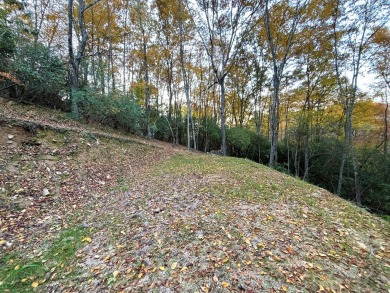 [Lot 15-3 Hills Creek Rd, Mineral Bluff, GA]  Imagine having 2 on Old Toccoa Farm Golf Club in Georgia - for sale on GolfHomes.com, golf home, golf lot