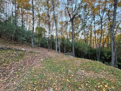 [Lot 15-3 Hills Creek Rd, Mineral Bluff, GA]  Imagine having 2 on Old Toccoa Farm Golf Club in Georgia - for sale on GolfHomes.com, golf home, golf lot