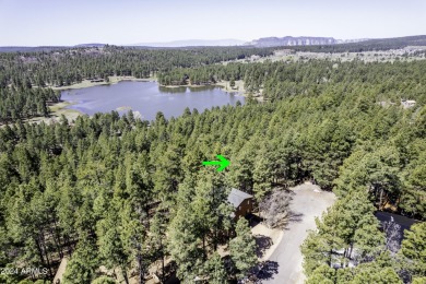 Don't miss this gorgeous, treed lot in the cool pines of Munds on Pinewood Country Club in Arizona - for sale on GolfHomes.com, golf home, golf lot