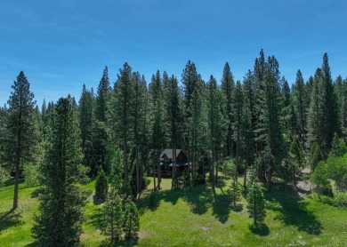 Welcome to your dream home where breathtaking views meet on Whitehawk Ranch Golf Club in California - for sale on GolfHomes.com, golf home, golf lot