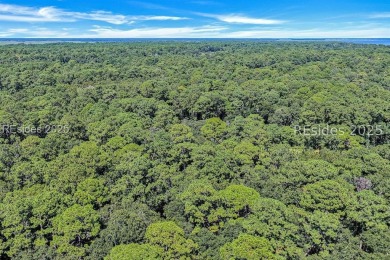 Nestled in one of Daufuskie Islands most charming neighborhoods on Melrose Golf Course in South Carolina - for sale on GolfHomes.com, golf home, golf lot