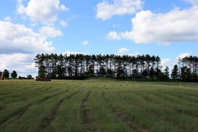 Located just minutes from Downtown Wausau you will find on Greenwood Hills Country Club in Wisconsin - for sale on GolfHomes.com, golf home, golf lot