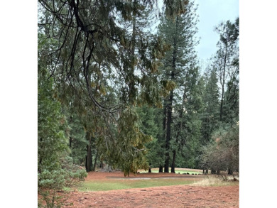 Currently the Best Move-In Ready Value in Forest Meadows!! This on Forest Meadows Golf Course in California - for sale on GolfHomes.com, golf home, golf lot
