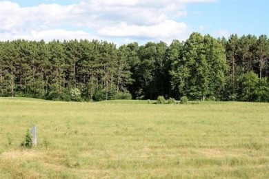 Located just minutes from Downtown Wausau you will find on Greenwood Hills Country Club in Wisconsin - for sale on GolfHomes.com, golf home, golf lot