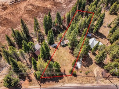 Level building lot bordering Tamarack land with direct access to on Osprey Meadows at Tamarack Resort in Idaho - for sale on GolfHomes.com, golf home, golf lot