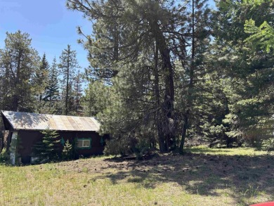 Level building lot bordering Tamarack land with direct access to on Osprey Meadows at Tamarack Resort in Idaho - for sale on GolfHomes.com, golf home, golf lot
