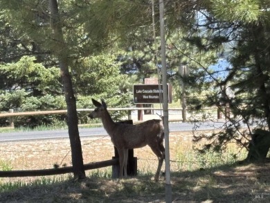 Level building lot bordering Tamarack land with direct access to on Osprey Meadows at Tamarack Resort in Idaho - for sale on GolfHomes.com, golf home, golf lot