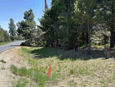 Level building lot bordering Tamarack land with direct access to on Osprey Meadows at Tamarack Resort in Idaho - for sale on GolfHomes.com, golf home, golf lot