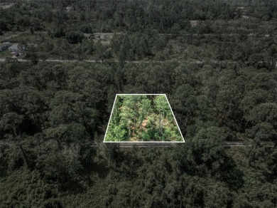 Build your dream home or invest in your future on this spacious on Golf Hammock Country Club in Florida - for sale on GolfHomes.com, golf home, golf lot