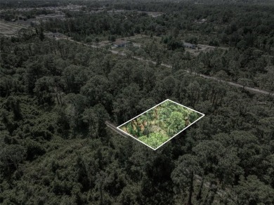 Build your dream home or invest in your future on this spacious on Golf Hammock Country Club in Florida - for sale on GolfHomes.com, golf home, golf lot
