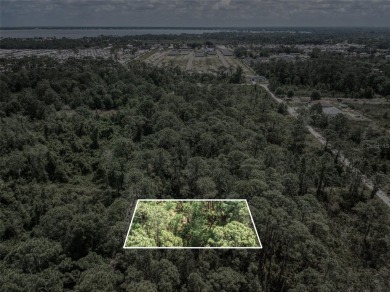 Build your dream home or invest in your future on this spacious on Golf Hammock Country Club in Florida - for sale on GolfHomes.com, golf home, golf lot