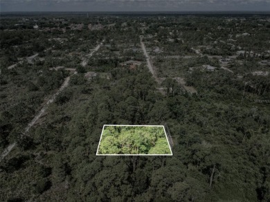 Build your dream home or invest in your future on this spacious on Golf Hammock Country Club in Florida - for sale on GolfHomes.com, golf home, golf lot