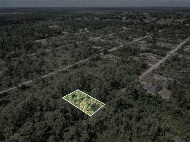 Build your dream home or invest in your future on this spacious on Golf Hammock Country Club in Florida - for sale on GolfHomes.com, golf home, golf lot