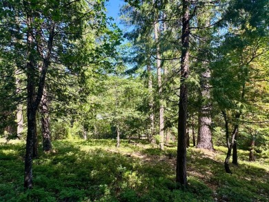 Build your dream cabin in the heart of Blue Lake Springs, one of on Sequoia Woods Country Club in California - for sale on GolfHomes.com, golf home, golf lot