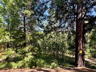 Build your dream cabin in the heart of Blue Lake Springs, one of on Sequoia Woods Country Club in California - for sale on GolfHomes.com, golf home, golf lot
