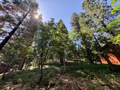 Build your dream cabin in the heart of Blue Lake Springs, one of on Sequoia Woods Country Club in California - for sale on GolfHomes.com, golf home, golf lot
