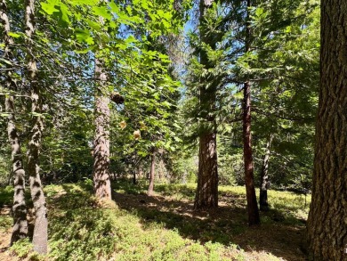 Build your dream cabin in the heart of Blue Lake Springs, one of on Sequoia Woods Country Club in California - for sale on GolfHomes.com, golf home, golf lot