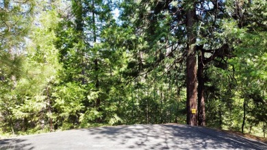 Build your dream cabin in the heart of Blue Lake Springs, one of on Sequoia Woods Country Club in California - for sale on GolfHomes.com, golf home, golf lot