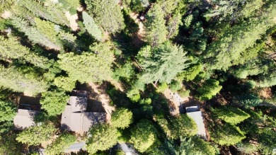 Build your dream cabin in the heart of Blue Lake Springs, one of on Sequoia Woods Country Club in California - for sale on GolfHomes.com, golf home, golf lot