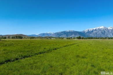 Prime land with valuable surface water rights and entitlements on Carson Valley Golf Course in Nevada - for sale on GolfHomes.com, golf home, golf lot