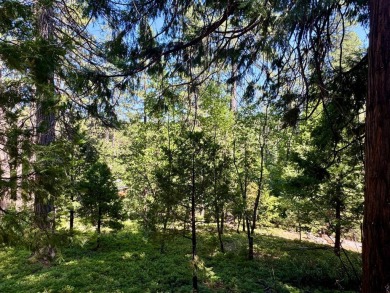 Build your dream cabin in the heart of Blue Lake Springs, one of on Sequoia Woods Country Club in California - for sale on GolfHomes.com, golf home, golf lot