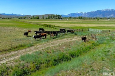 Prime land with valuable surface water rights and entitlements on Carson Valley Golf Course in Nevada - for sale on GolfHomes.com, golf home, golf lot