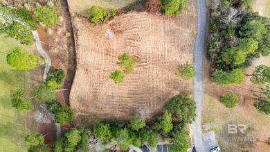 Exceptional opportunity to build in the prestigious, gated on Steelwood Country Club in Alabama - for sale on GolfHomes.com, golf home, golf lot