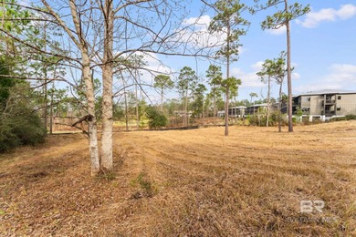 Exceptional opportunity to build in the prestigious, gated on Steelwood Country Club in Alabama - for sale on GolfHomes.com, golf home, golf lot