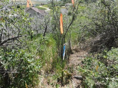 READY-TO-BUILD Breathtaking 1-Acre LOT backs to a soaring red on Perry Park Country Club in Colorado - for sale on GolfHomes.com, golf home, golf lot
