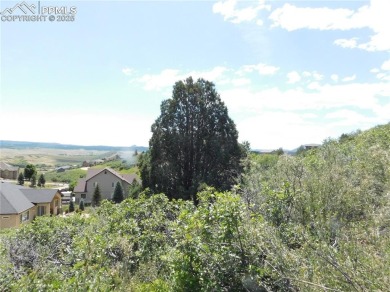 READY-TO-BUILD Breathtaking 1-Acre LOT backs to a soaring red on Perry Park Country Club in Colorado - for sale on GolfHomes.com, golf home, golf lot