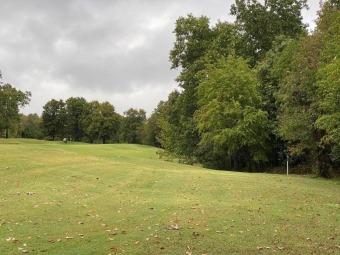 Fantastic building lot on 16th tee on Dogwood golf course on Bella Vista - Metfield Golf Complex and Country Club in Arkansas - for sale on GolfHomes.com, golf home, golf lot