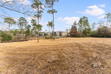 Exceptional opportunity to build in the prestigious, gated on Steelwood Country Club in Alabama - for sale on GolfHomes.com, golf home, golf lot