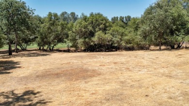 Premium lot in a prime location. This property is 0.36 acres on Greenhorn Creek Resort in California - for sale on GolfHomes.com, golf home, golf lot