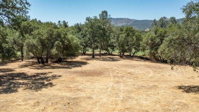 Premium lot in a prime location. This property is 0.36 acres on Greenhorn Creek Resort in California - for sale on GolfHomes.com, golf home, golf lot