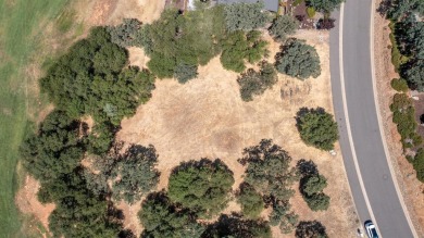Premium lot in a prime location. This property is 0.36 acres on Greenhorn Creek Resort in California - for sale on GolfHomes.com, golf home, golf lot