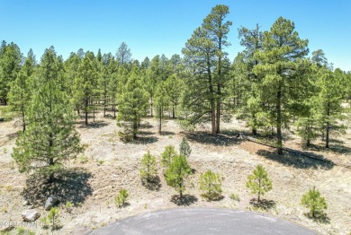 Saddle Up for Serenity in Lakeside Acres in the Country Club on Aspen Valley Golf Club in Arizona - for sale on GolfHomes.com, golf home, golf lot
