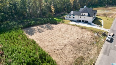 The perfect opportunity to build your dream home in the highly on Ross Bridge Golf Resort in Alabama - for sale on GolfHomes.com, golf home, golf lot