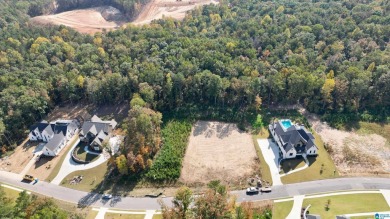 The perfect opportunity to build your dream home in the highly on Ross Bridge Golf Resort in Alabama - for sale on GolfHomes.com, golf home, golf lot