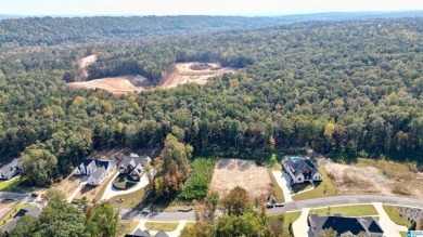 The perfect opportunity to build your dream home in the highly on Ross Bridge Golf Resort in Alabama - for sale on GolfHomes.com, golf home, golf lot