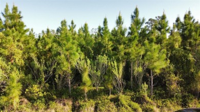 Half-Acre Residential Lot in Indian Lake Estates - Build Your on Indian Lake Estates Golf and Country Club in Florida - for sale on GolfHomes.com, golf home, golf lot