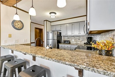Some of the BEST VIEWS AVAILABLE at Pinnacle Inn-SKI SLOPE VIEW on Beech Mountain Club in North Carolina - for sale on GolfHomes.com, golf home, golf lot