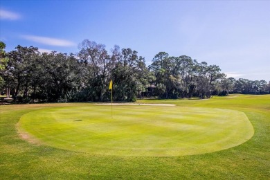 Nestled in the vibrant heart of The Meadows, this impeccably on The Meadows Golf and Country Club in Florida - for sale on GolfHomes.com, golf home, golf lot