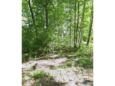 Check out this unrestricted lot located conveniently in Newport on Smoky Mountain Country Club in Tennessee - for sale on GolfHomes.com, golf home, golf lot