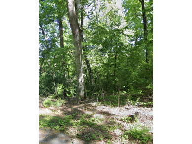 Check out this unrestricted lot located conveniently in Newport on Smoky Mountain Country Club in Tennessee - for sale on GolfHomes.com, golf home, golf lot